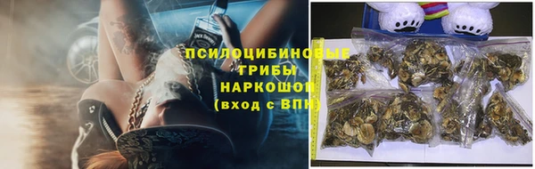 ПСИЛОЦИБИНОВЫЕ ГРИБЫ Михайловск