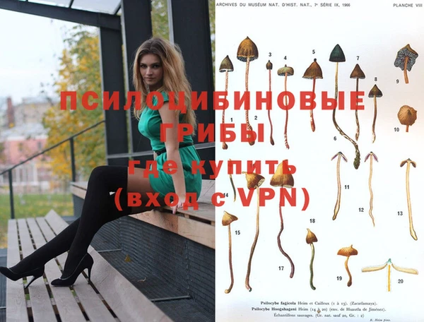 ПСИЛОЦИБИНОВЫЕ ГРИБЫ Михайловск