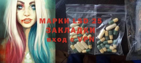 ПСИЛОЦИБИНОВЫЕ ГРИБЫ Михайловск