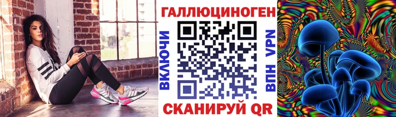 omg вход  Пушкино  Псилоцибиновые грибы MAGIC MUSHROOMS  купить  сайты 