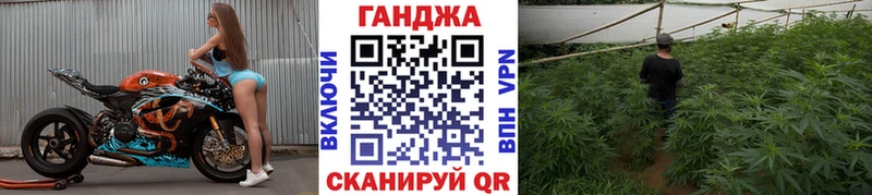 Конопля сатива  Пушкино 